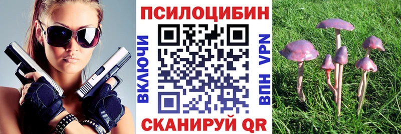 Галлюциногенные грибы мухоморы  Новый Оскол 